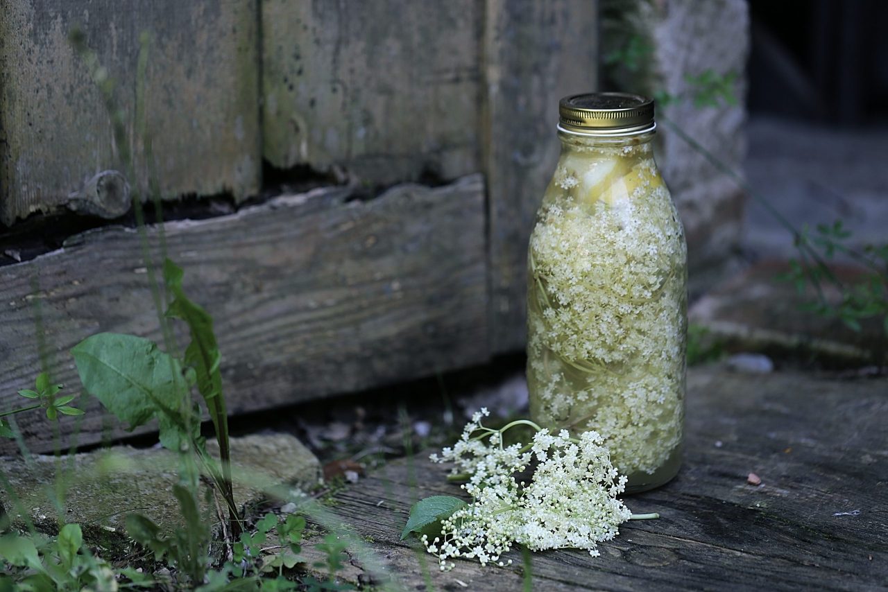 Holunderblütensirup in Flasche