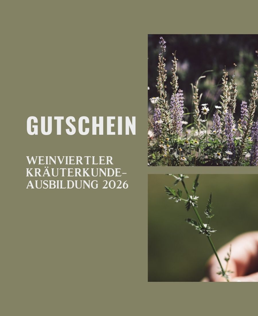 Gutschein